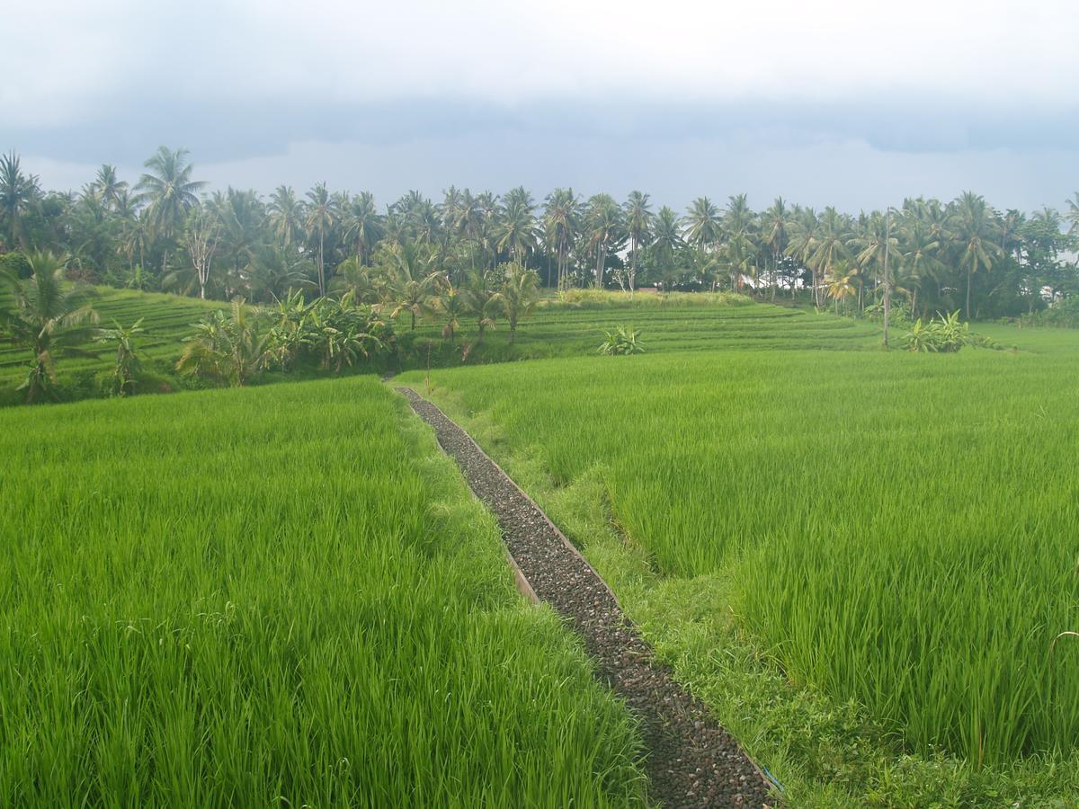 Bali Beach Eco Villas Pondok Matekap Selemadeg  Экстерьер фото