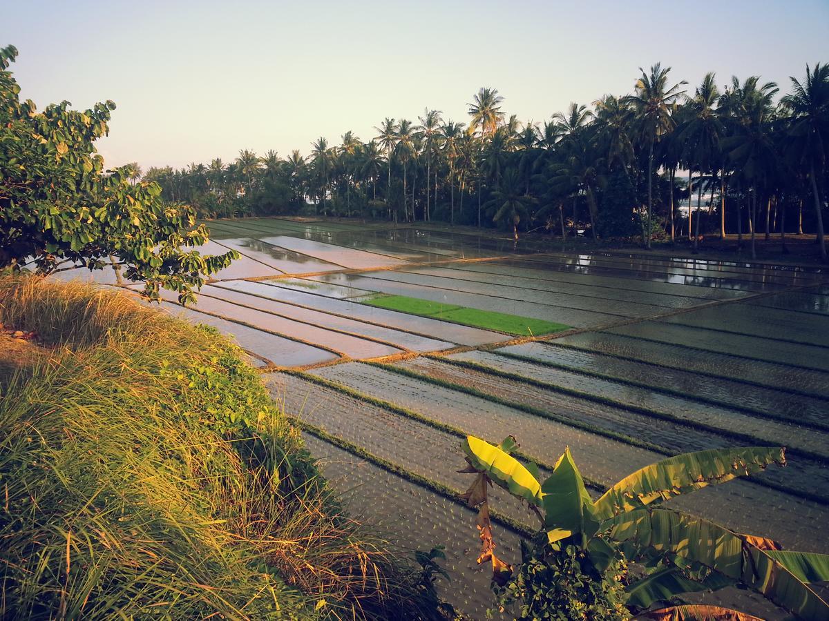 Bali Beach Eco Villas Pondok Matekap Selemadeg  Экстерьер фото