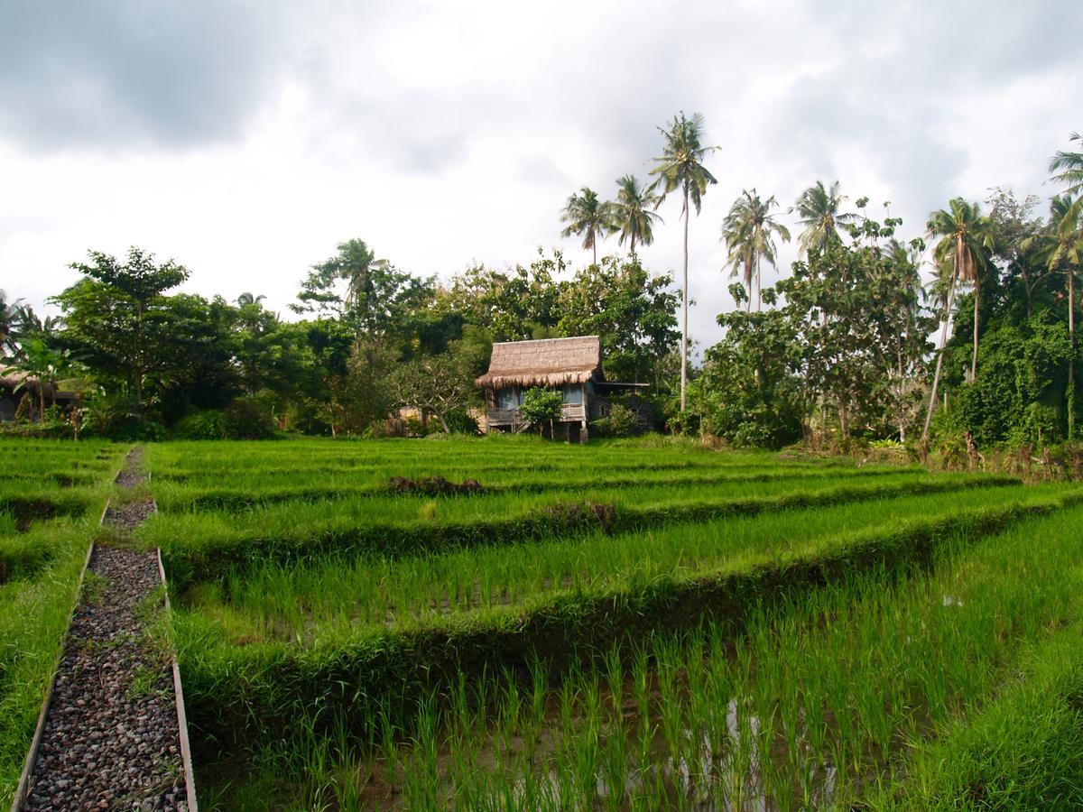 Bali Beach Eco Villas Pondok Matekap Selemadeg  Экстерьер фото