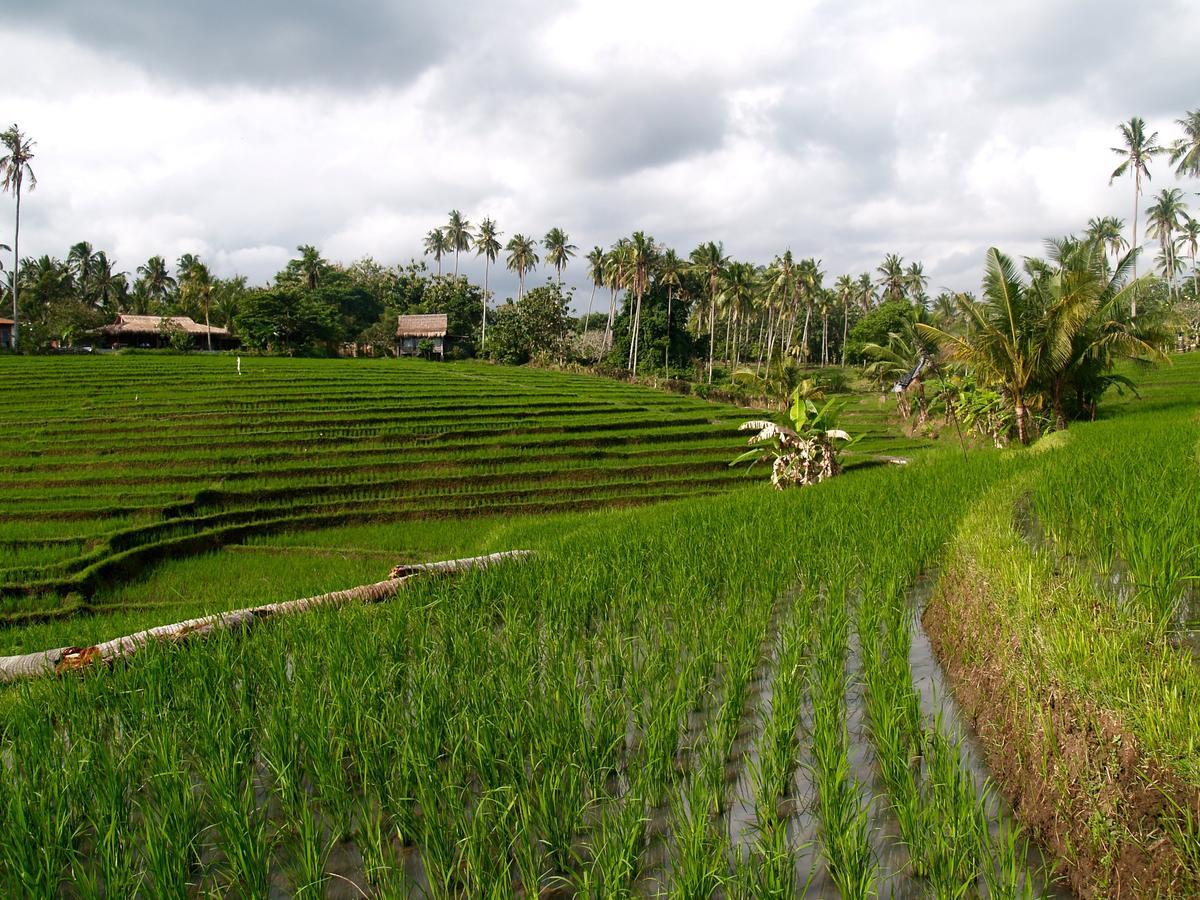 Bali Beach Eco Villas Pondok Matekap Selemadeg  Экстерьер фото