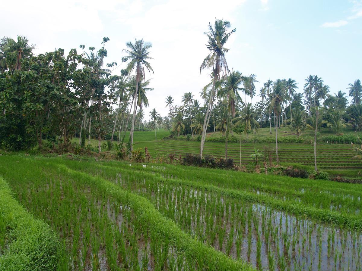 Bali Beach Eco Villas Pondok Matekap Selemadeg  Экстерьер фото
