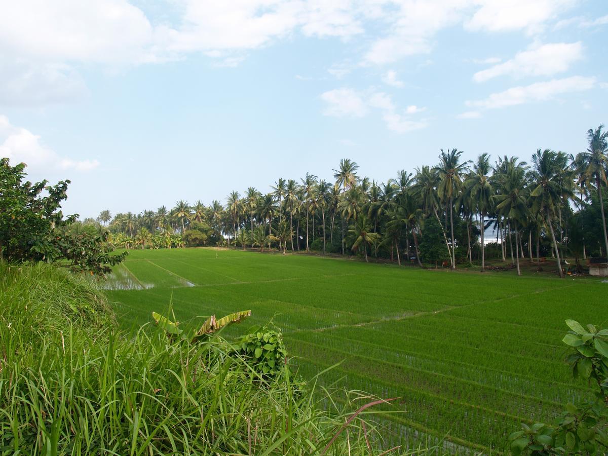 Bali Beach Eco Villas Pondok Matekap Selemadeg  Экстерьер фото