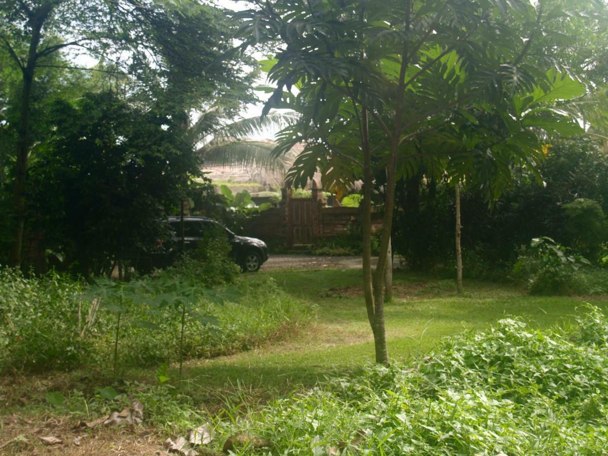 Bali Beach Eco Villas Pondok Matekap Selemadeg  Экстерьер фото