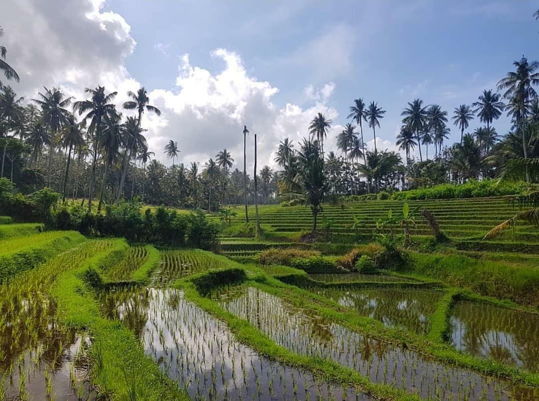 Bali Beach Eco Villas Pondok Matekap Selemadeg  Экстерьер фото
